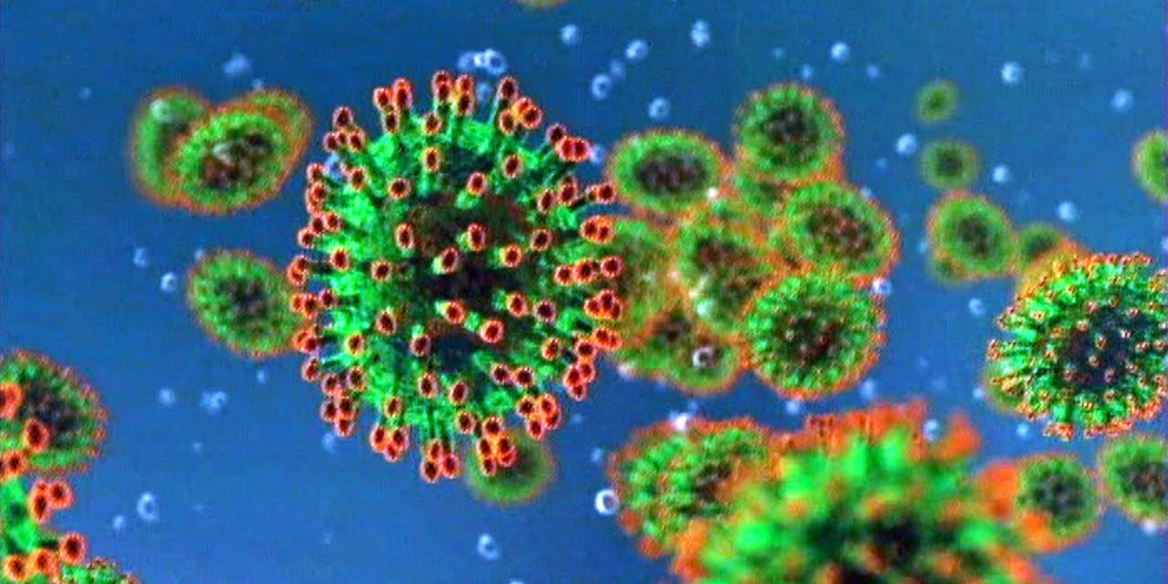 coronavirus